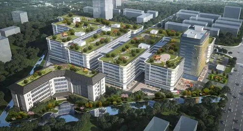 江門迎來企業投資熱潮，實業興城正當時