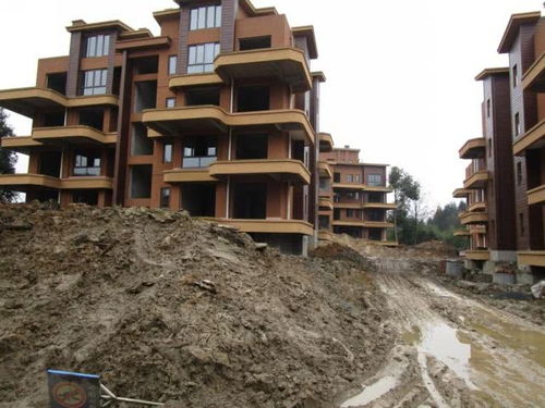 頭條丨 削山 一萬(wàn)八千畝 峨眉半山 康養(yǎng) 開發(fā)亂象