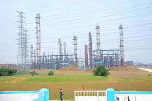 大明支持環(huán)保項目建設(shè)